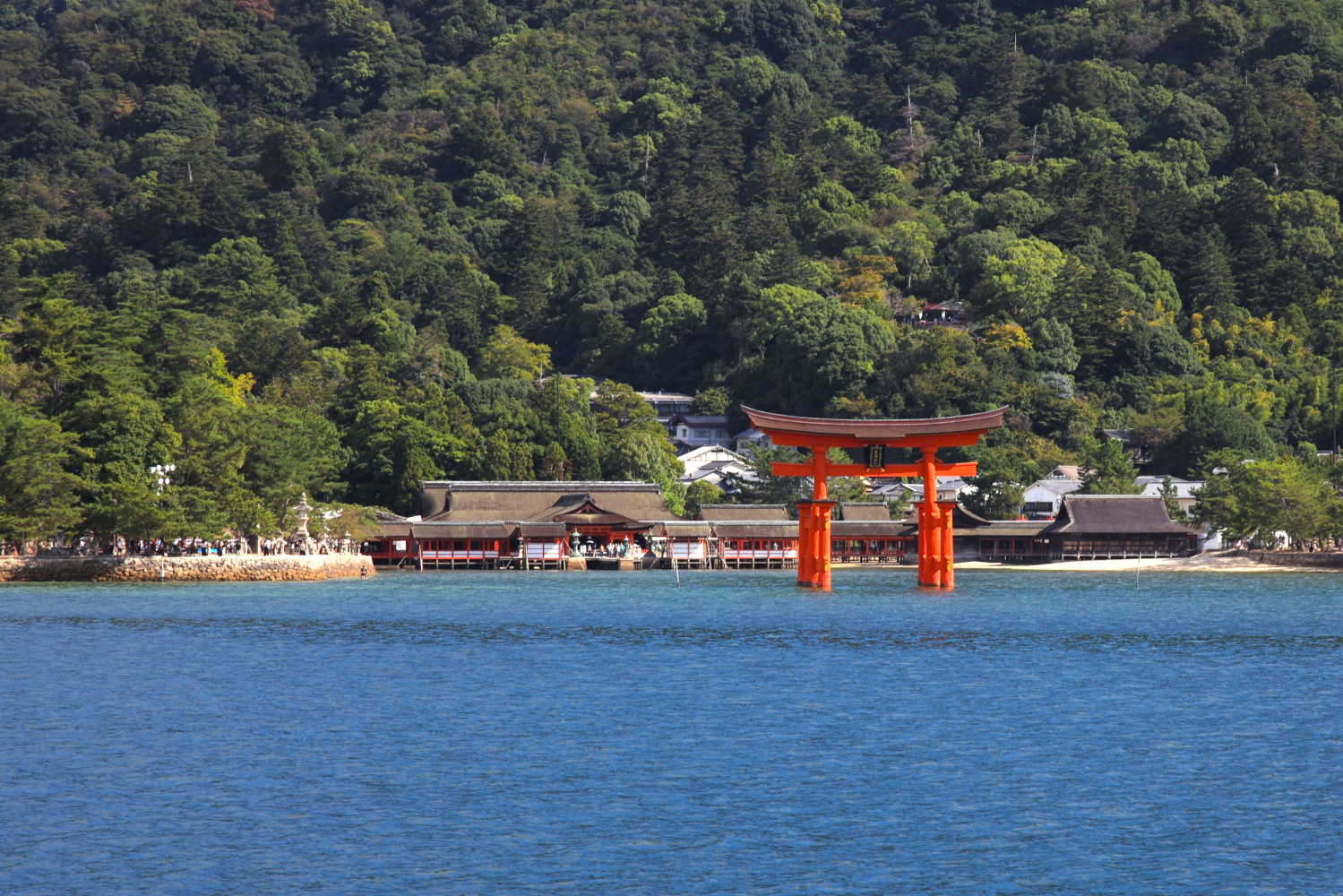広島発の逸品を探してみませんか？